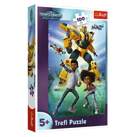 Puzzle The Transformers team