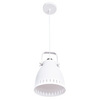 Подвес Arte Lamp Luned A2214SP-1WH