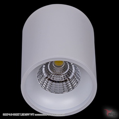 Светильник точечный накладной 81117-9.5-001RT LED10W WT Белый
