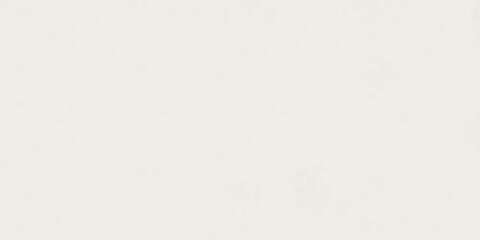 Atlas Concorde Plan Absolute White Silk 12 mm 162x324