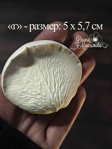 Молды пластиковые Набор 