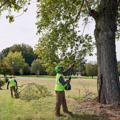 Высоторез-сучкорез Greenworks GD82PS25 82V (25 см) аккумуляторный, без АКБ и ЗУ