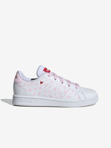 Кеды Adidas ADVANTAGE K