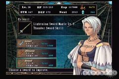 Ys: The Ark of Napishtim (Playstation 2)