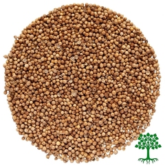 Кориандр целый Высший сорт