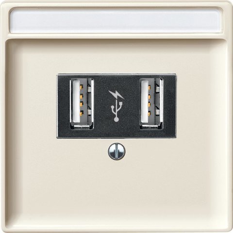 Розетка USB двойная для зарядки. Цвет Бежевый. Merten Antique/Artec. MTN4366-0100+MTN297844