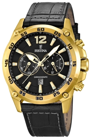 Наручные часы Festina F16880/3 фото