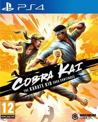 Игра Cobra Kai: The Karate Kid Saga Continues (PS4)