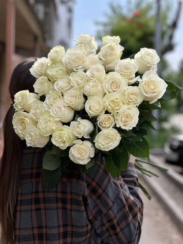 Белая роза сорт «Мондиаль» (Эквадор)