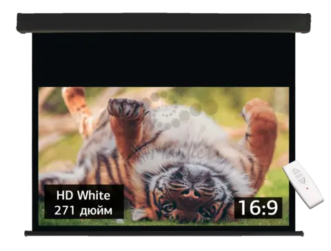 Экран S'OK SMBK-600x338HD-ED120 271'' настенно-потолочный, моторизованный, Fiberglass, черный корпус