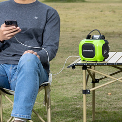 Беспроводная акустическая система Greenworks GPT-MNBS 24V с гибридным питанием, без АКБ и ЗУ