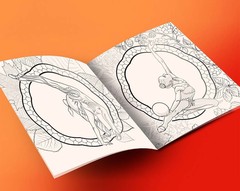 Раскраска «Времена года»