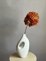 Гортензия стабилизированная красно-горчичная