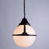 Уличный светильник Arte Lamp Monaco A1495SO-1BK