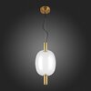 Светильник подвесной ST Luce Allenore SL1582.313.01
