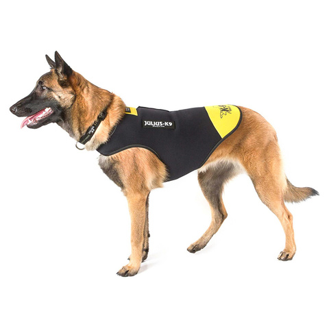 JULIUS-K9 жилет для собак Neoprene IDC, черно-желтый (70-82 см)