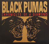 BLACK PUMAS: Chronicles Of A Diamond