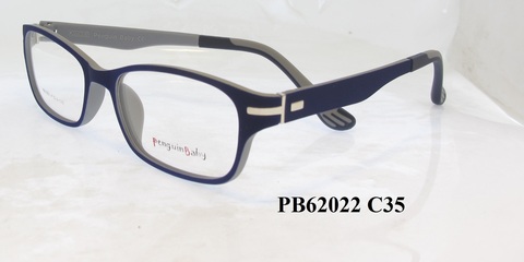 PB62022