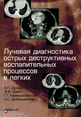 Лучевая диагностика острых деструктивных воспалительных процессов в легких