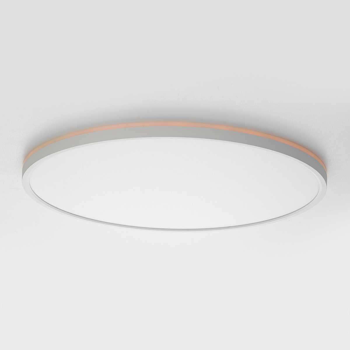 Потолочный светильник Citilux NORMA CL749500