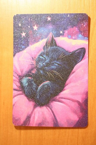 Спящий котенок