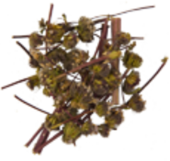 Зопник (трава, 50гр.)  (Старослав)