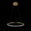 Подвесной светильник Loft It Ring 10014M