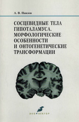 Сосцевидные тела гипоталамуса. Морфологические особенности и онтогенетические трансформации