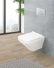 BelBagno BB3201CHR Чаша унитаза подвесного безободкового с креплением 360x540x365