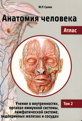 Анатомия человека. Атлас в 3-х томах. Том 2. Учение о внутренностях, органах имунной системы, лимфатической системе, эндокринных железах и сосудах