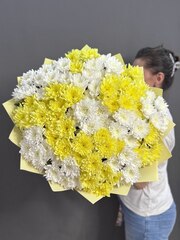 Букет с 19 белыми и желтыми кустовыми хризантемами