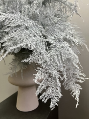 Аспарагус Veren белый 1 шт