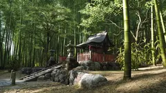 Forza Horizon 6 Premium Edition (для Xbox One/Series S/X, интерфейс и субтитры на русском языке) [Цифровой код доступа]