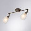 Споты Arte Lamp Biham A3184PL-2AB