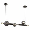 Светильник подвесной ST Luce Cielo SL1509.403.05