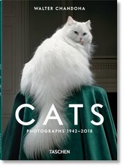 Cats: Photographs 1942-2018