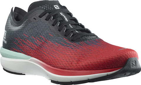 Кроссовки беговые Salomon Sonic 4 Accelerate Goji мужские L41302900