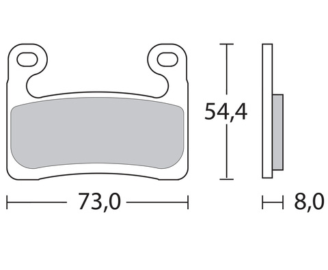 107A48611 M118Z04 Тормозные колодки Brembo Racing (FDB2321, FD0540, 07GR90)  BMW S1000RR 19-> Hayes