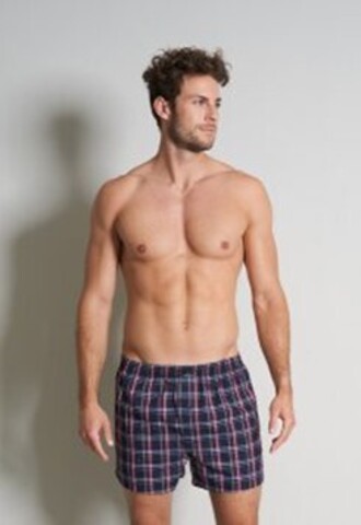 Боксеры мужские 2 шт. в упаковке GOTZBURG 743323/M-XXL