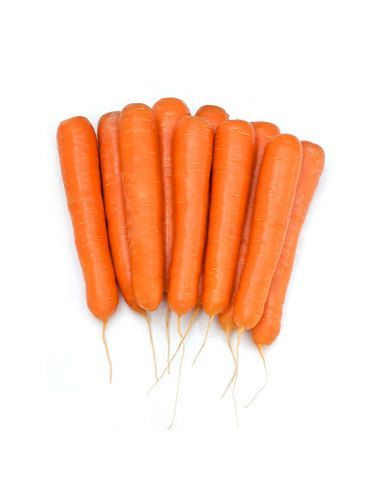 Нантская Октаво F1 семена моркови нантской (Vilmorin / Вильморин) Октаво_F1_семена_овощей_оптом.jpg