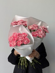 Охапка диантусов в бело-розовом оттенке 10 шт