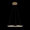 Подвесной светильник Loft It Ring 10014M