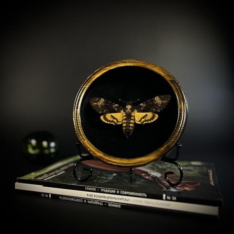 Бражник «Мёртвая голова»