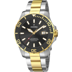 Часы мужские Festina F20532/2 Automatic