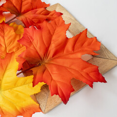 №2 Кленовые листья на ветке Желто-оранжево-зеленые, осенние, 70 см., набор 2 ветки