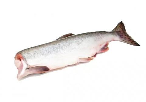 Горбуша Дальневосточная замороженная без головы~600г