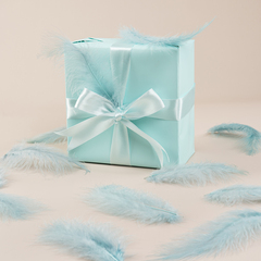 Перья Ретро Голубой, 12*15 см, 30 шт.