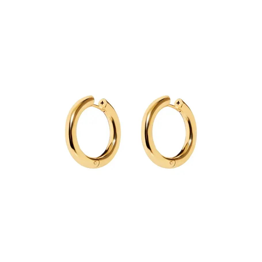 

Серьги Plain Gold Hoops