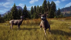 Way of the Hunter (диск для PS5, интерфейс и субтитры на русском языке)