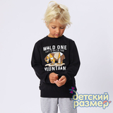 Свитшот